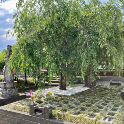 樹木葬の風紀 - おまいりラボ - 新着情報